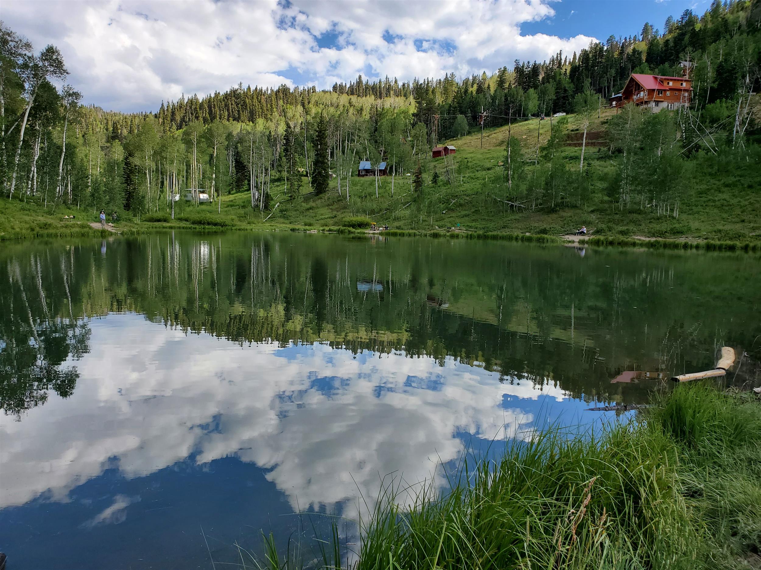 Kids Pond at Woods Ranch